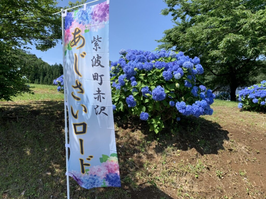 赤沢あじさいロード 7 3 一般社団法人紫波町観光交流協会
