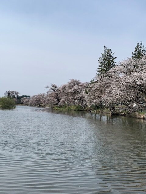 4.18-1
