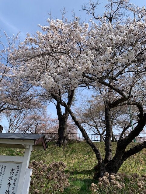 4.18-1