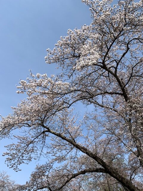 4.18-2