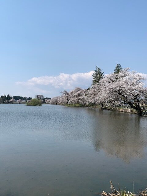4.19-3