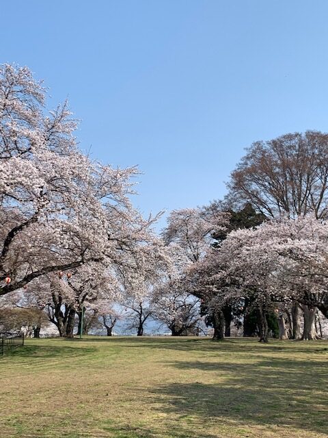 4.19-4