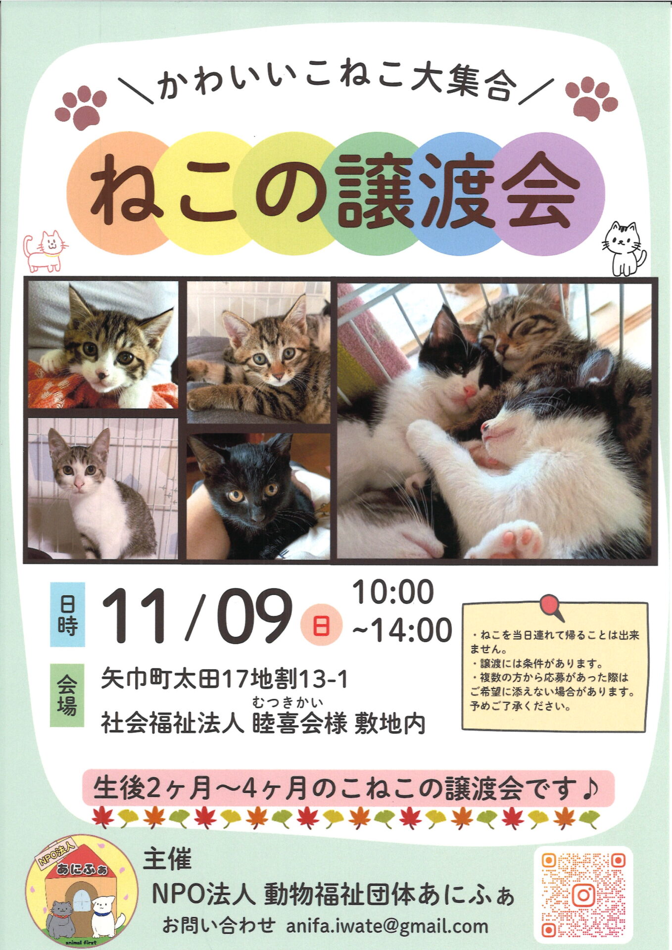 20251030110701_00001