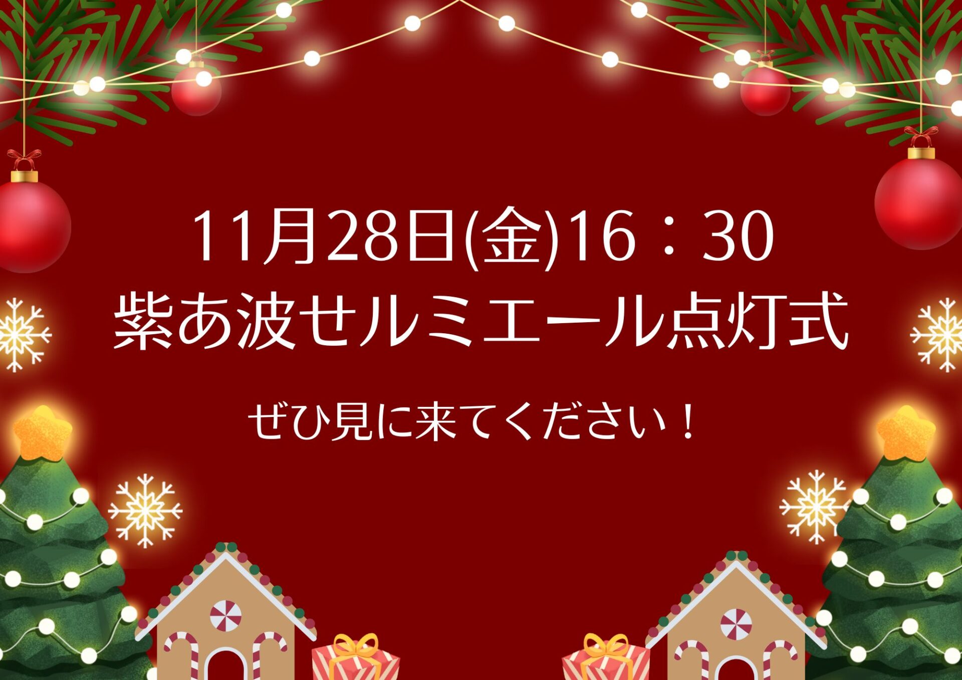 11月28日(金)16：30 紫あ波せルミエール点灯式