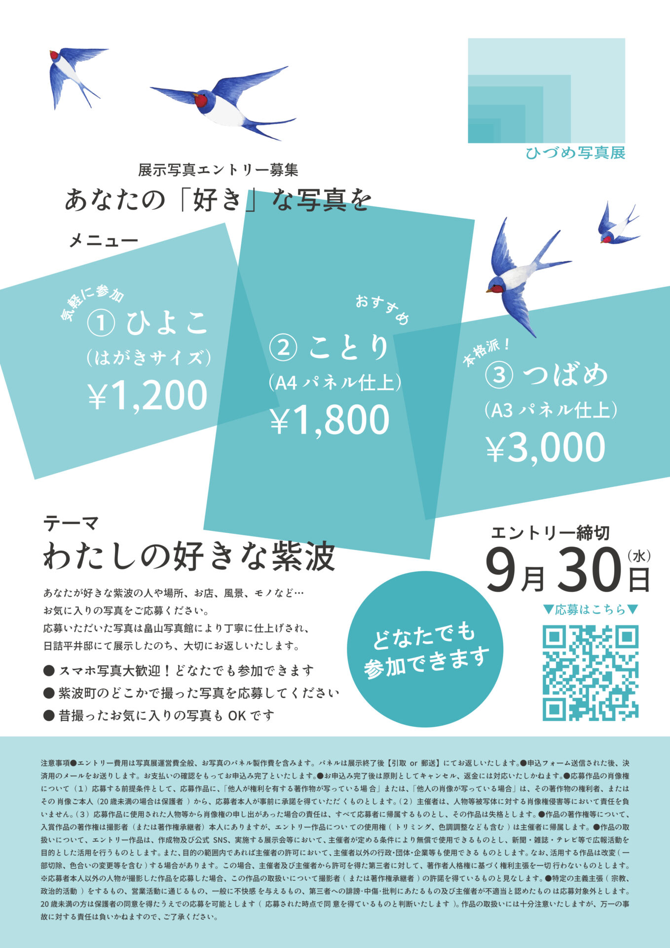 flier_hizumephotofes_2026_02
