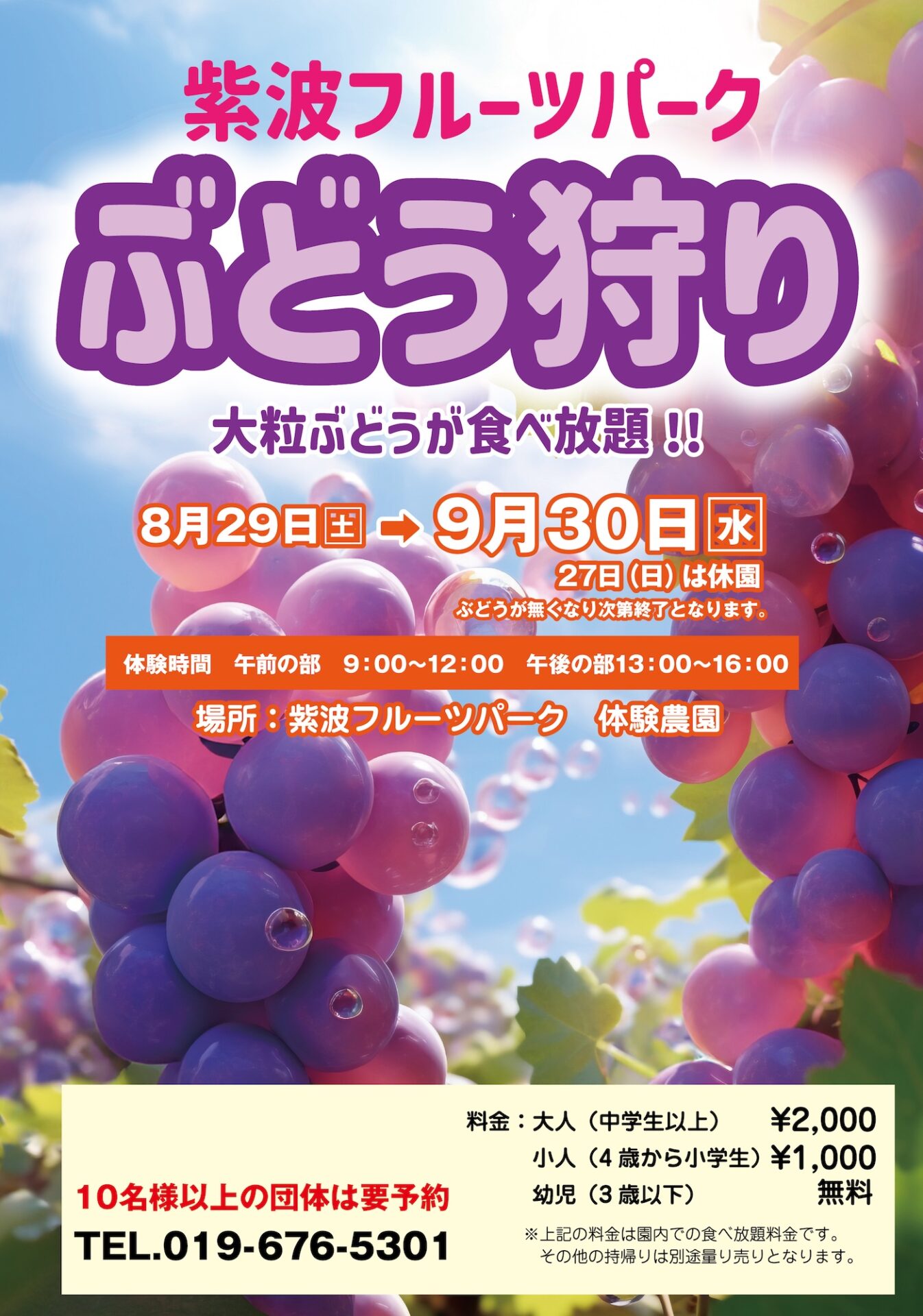 2026ぶどう狩